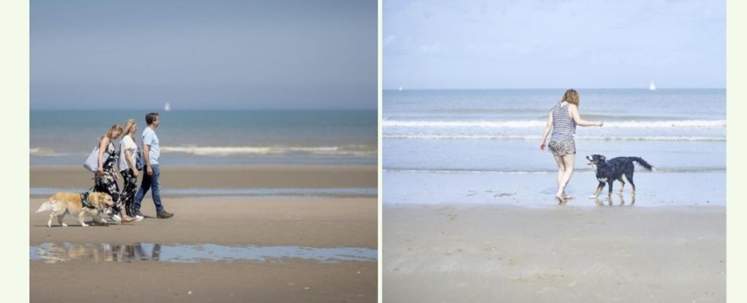 Strandchalet Бредене Екстериор снимка